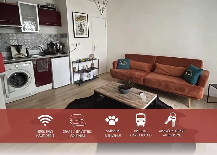 Le Rempart De - Proche Gare - Terrasse トゥール