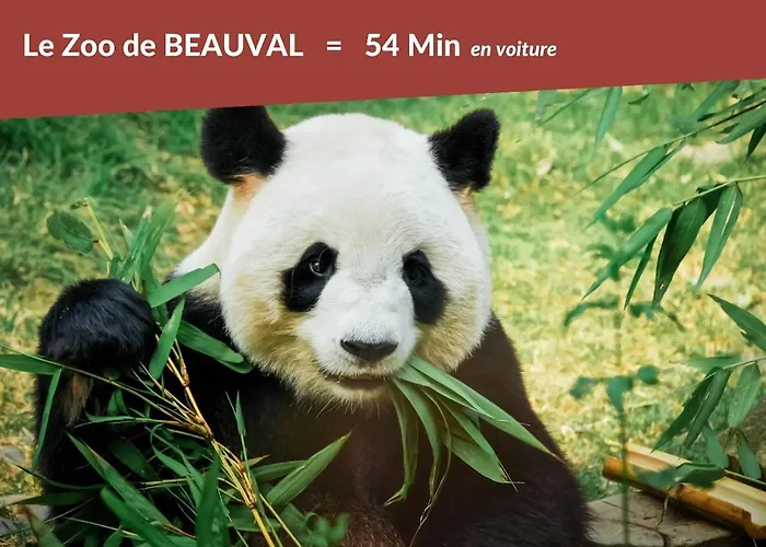 Le Rempart De - Proche Gare - Terrasse Apartment *